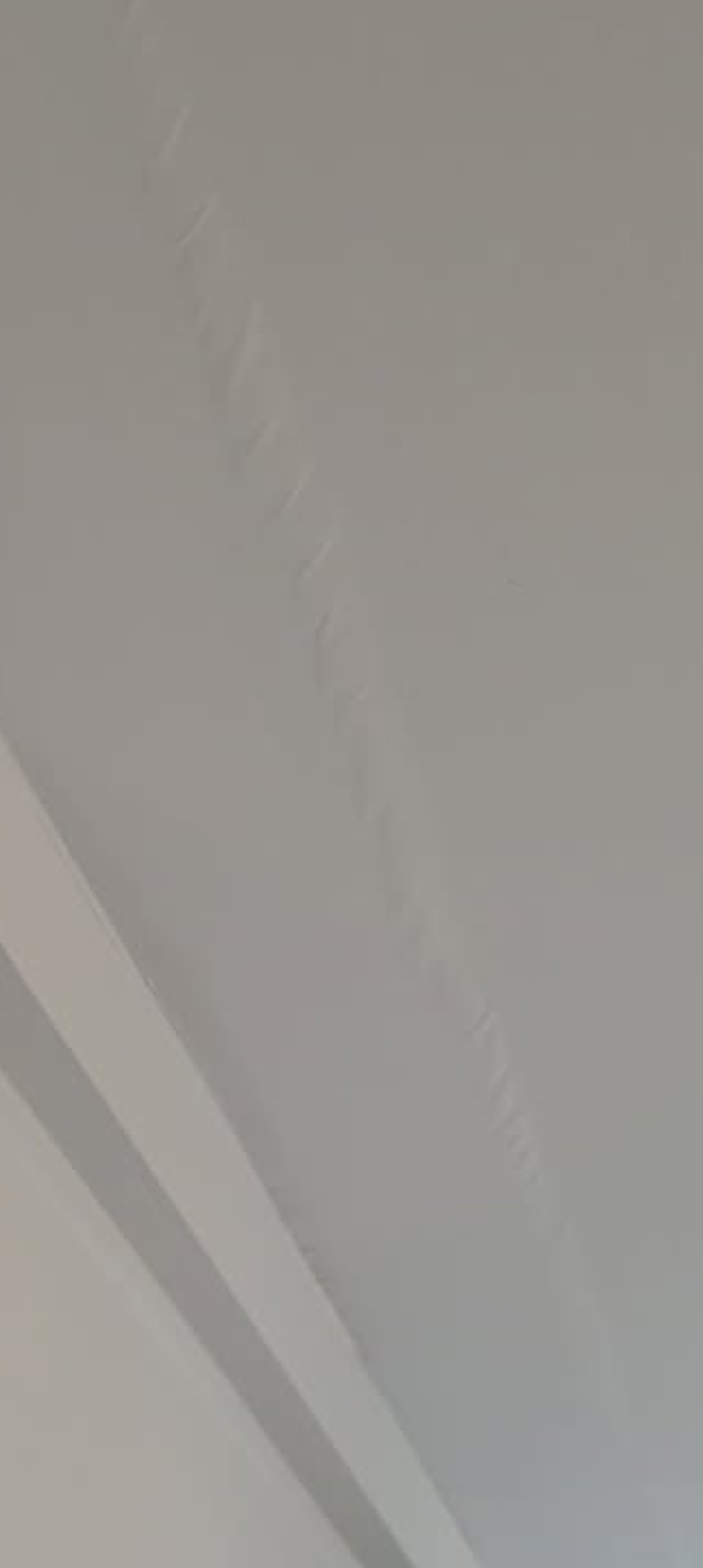 Basement Ceiling — 99% Moisture Reading with Visible Bubbling